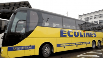 ecolines_11