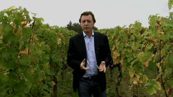 video-prezentacija-vinogradnika-Chateau-Faugeres_11