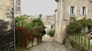 video-prezentacija-vinogradnika-Chateau-Faugeres_15