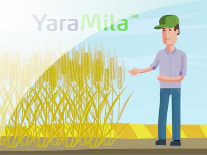 Vidéo d'animation pour la société YARA